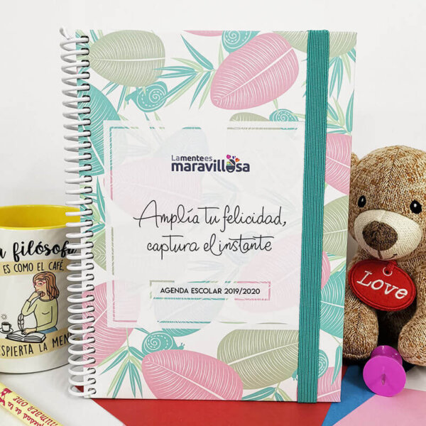 Agenda Escolar 2019-2020 (Semana Vista) - Diseño Hojas